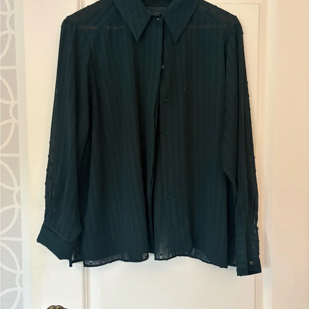 Zara Dark Teal Sheer Stripe Button-Down Blouse - NWOT - Picture 1 of 3